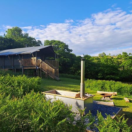 Brackenhill Glamping - Safari Tent With Hot Tub - Sleeps 6 Ivybridge Exterior foto