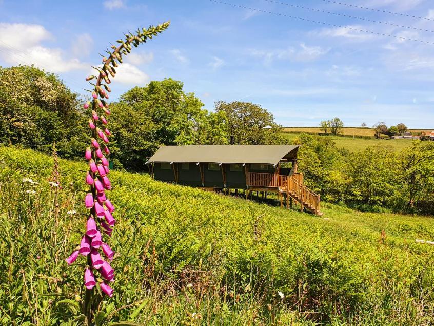 Brackenhill Glamping - Safari Tent With Hot Tub - Sleeps 6 Ivybridge Exterior foto